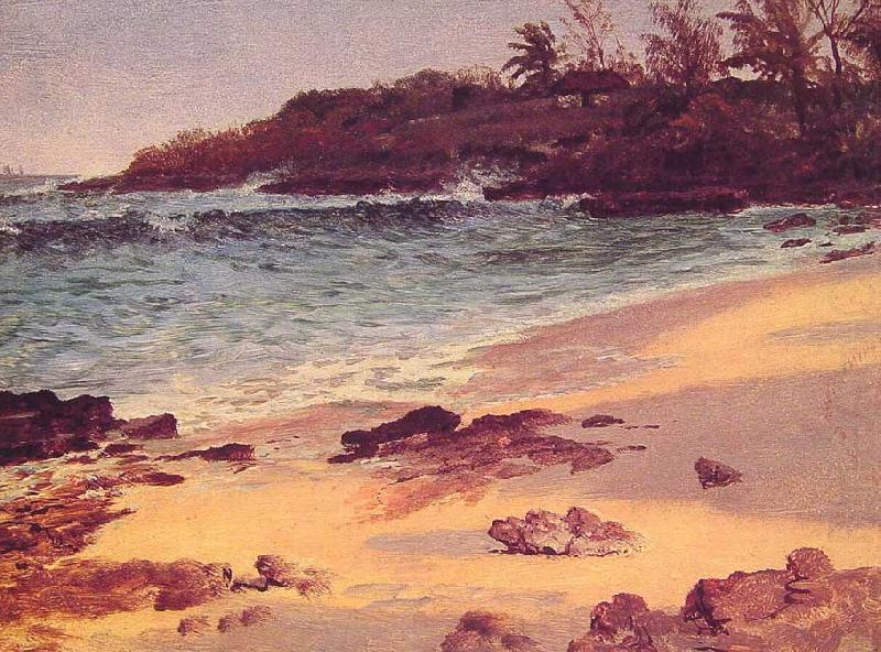 Albert Bierstadt Bahama Cove china oil painting image